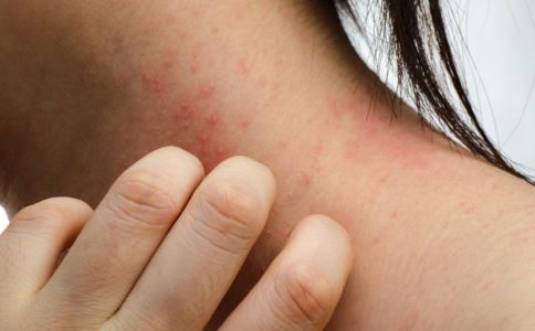 439_092424_1 439_092424_1